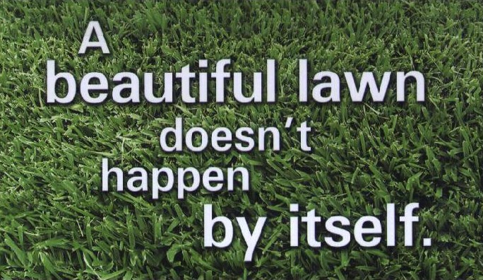 home simons lawn care tree service simons lawn care tree images of lawn care